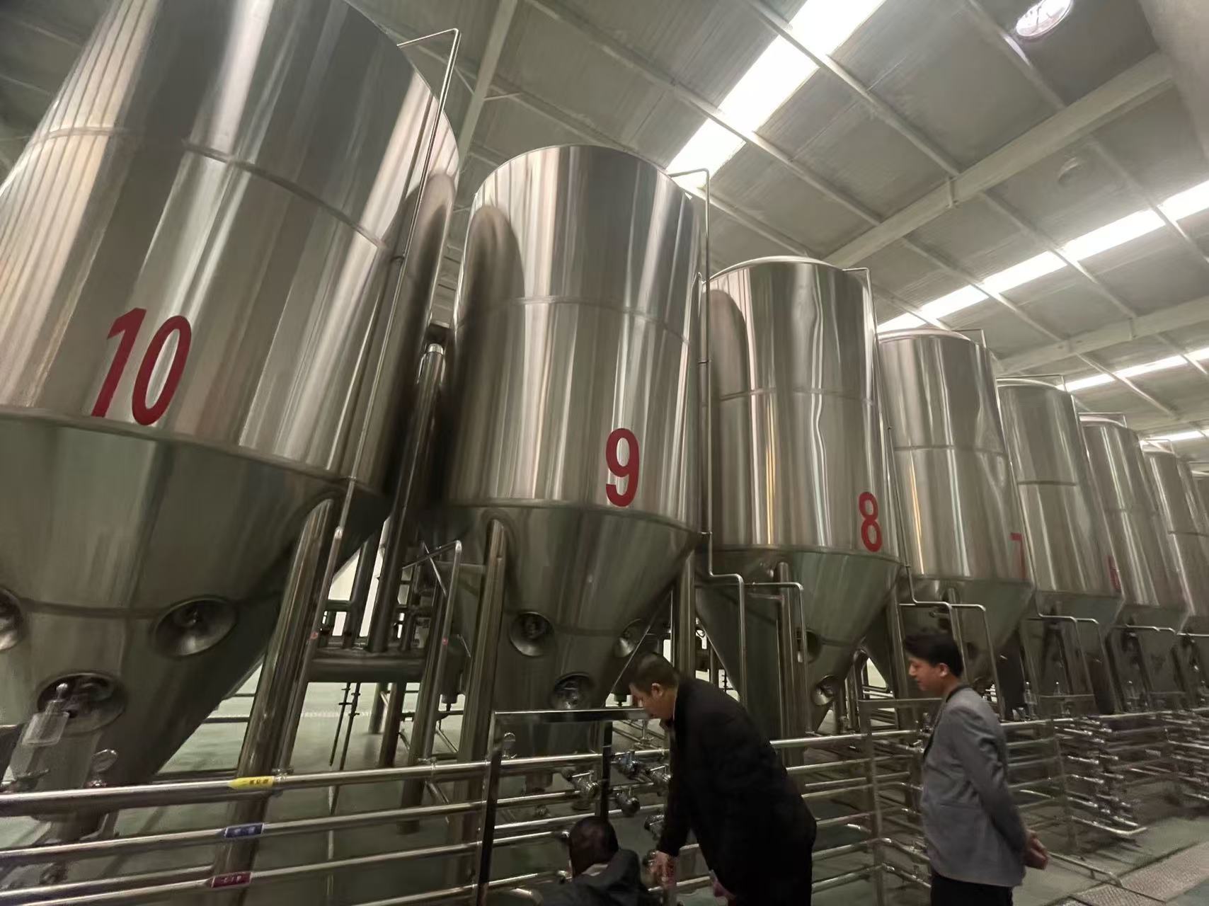 阳高精酿啤酒设备厂—平面布置、设备设计、制造、调试、培训等一条龙服务